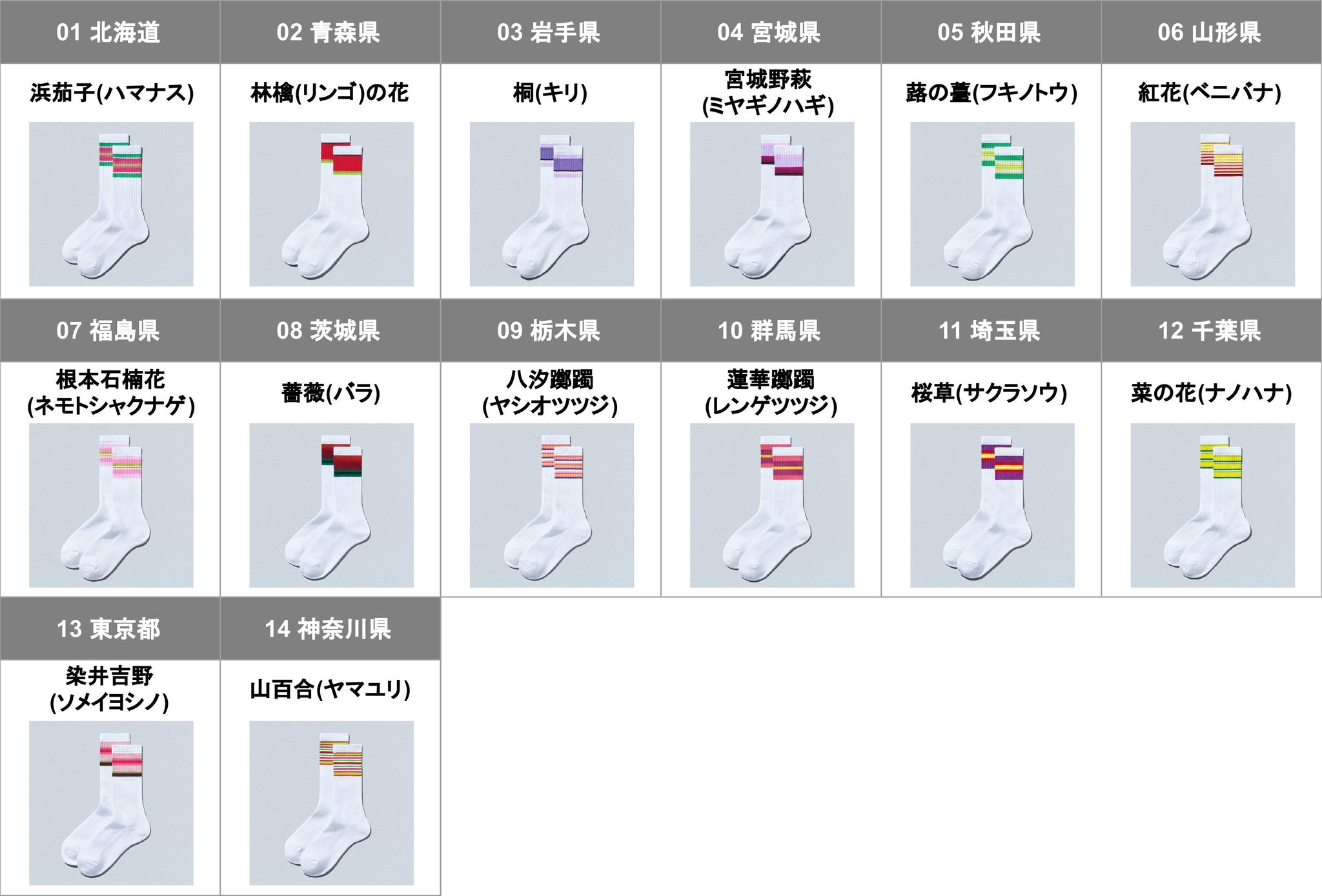 北海道から神奈川県までの「47都道府県別ラインソックス」