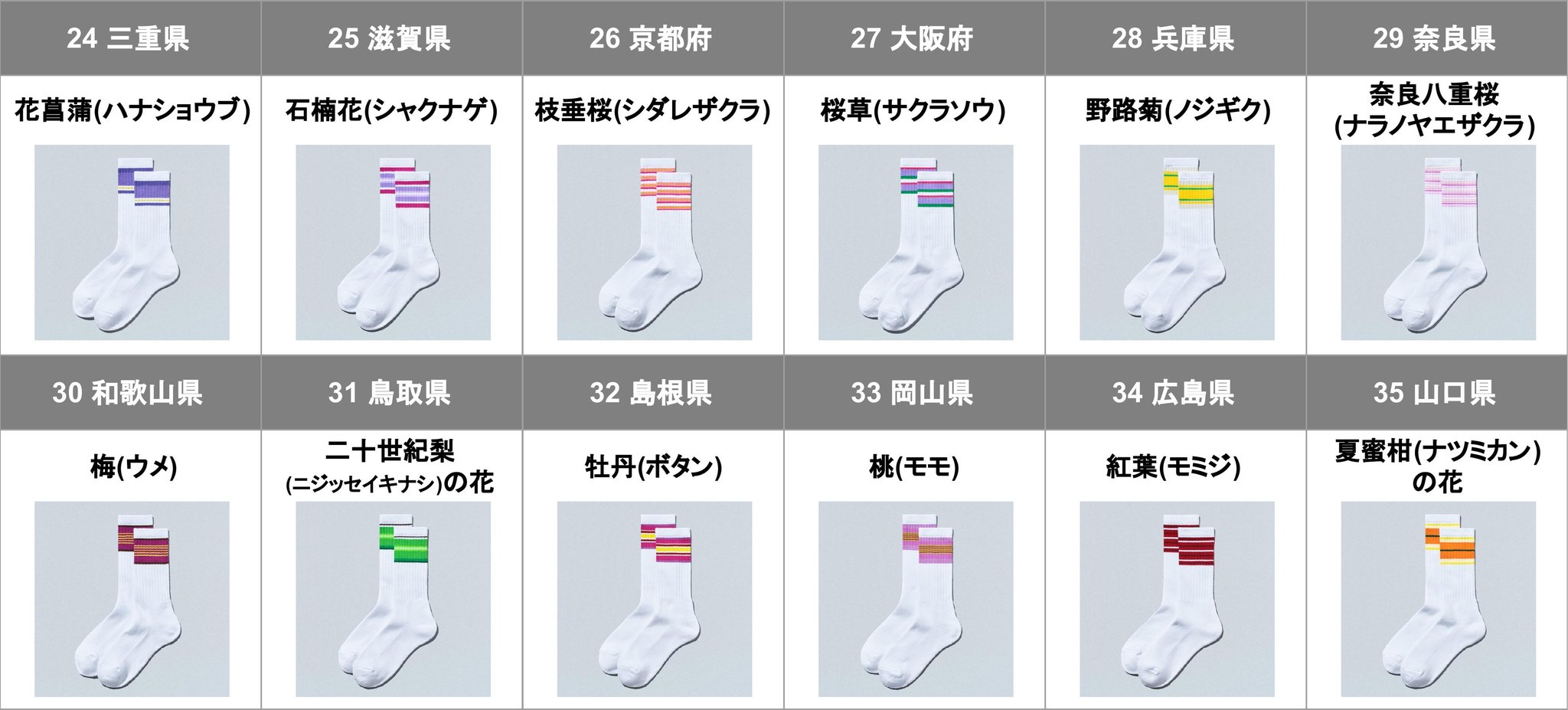 三重県から山口県までの「47都道府県別ラインソックス」