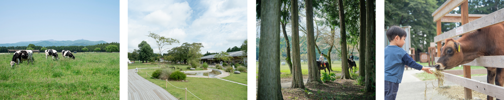 那須千本松牧場の牧場風景
