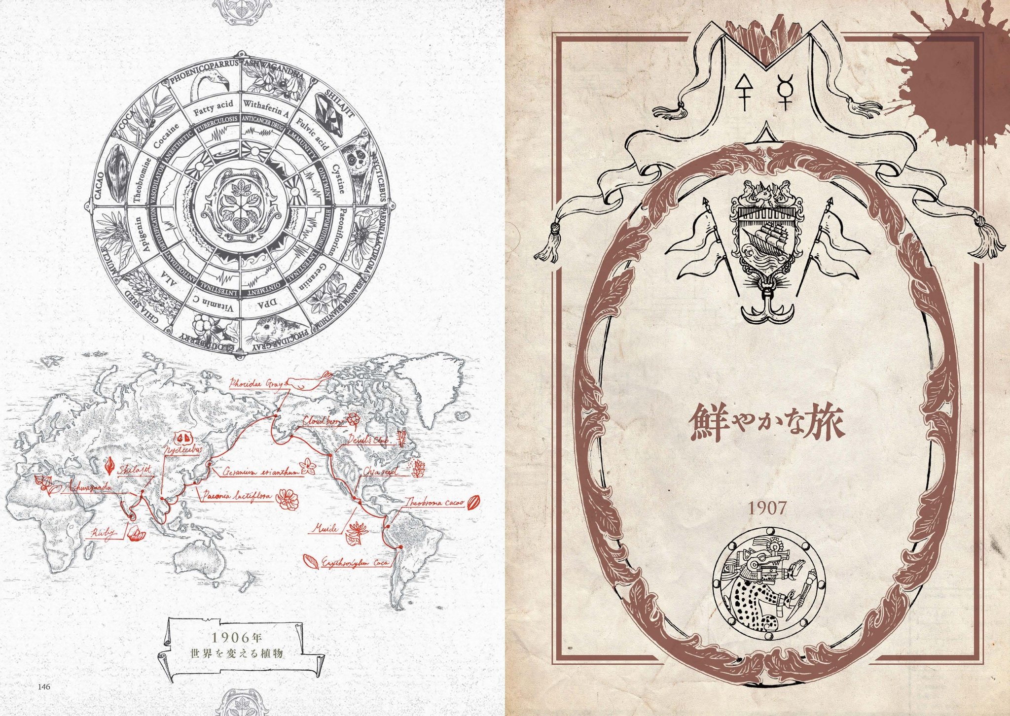 中面画像