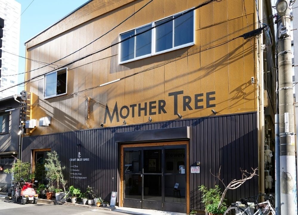 CRAFT BEER BASE