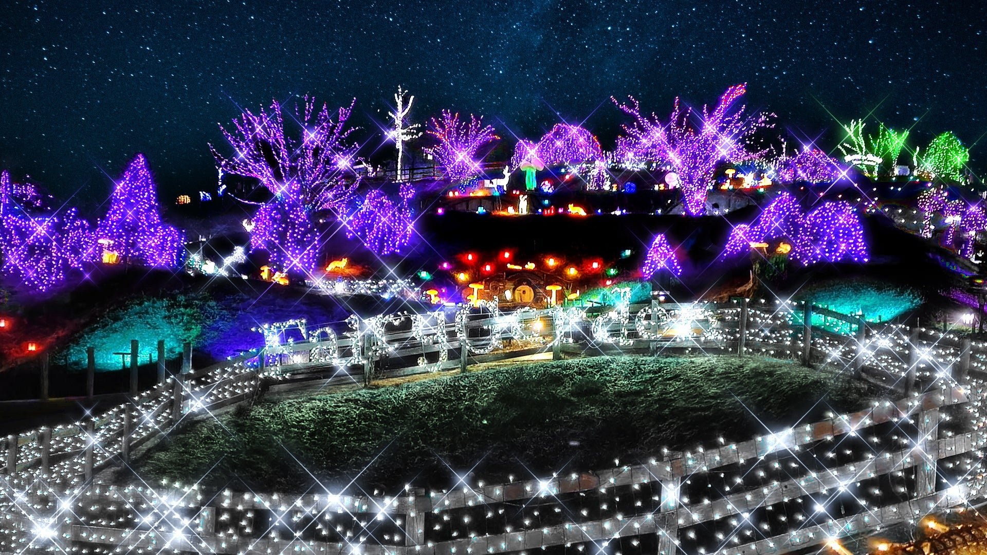 English Garden ローザンベリー多和田“HIKARIUM2026”