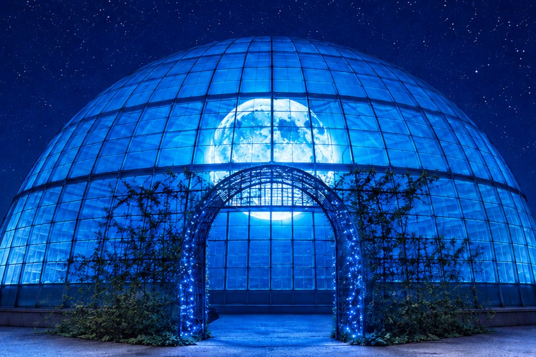「Good Night Dome」の外観