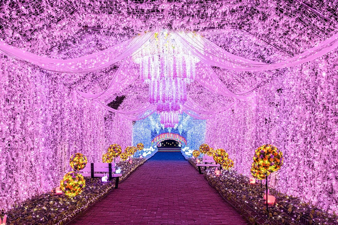 「雲の中の道」の光のトンネル