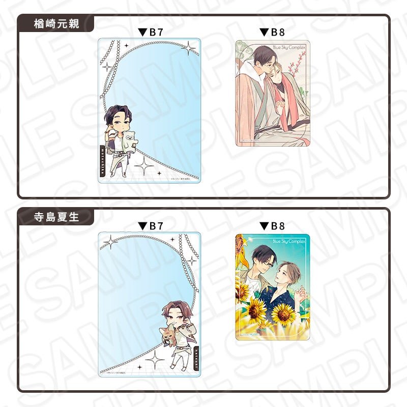 硬質カードケースセット