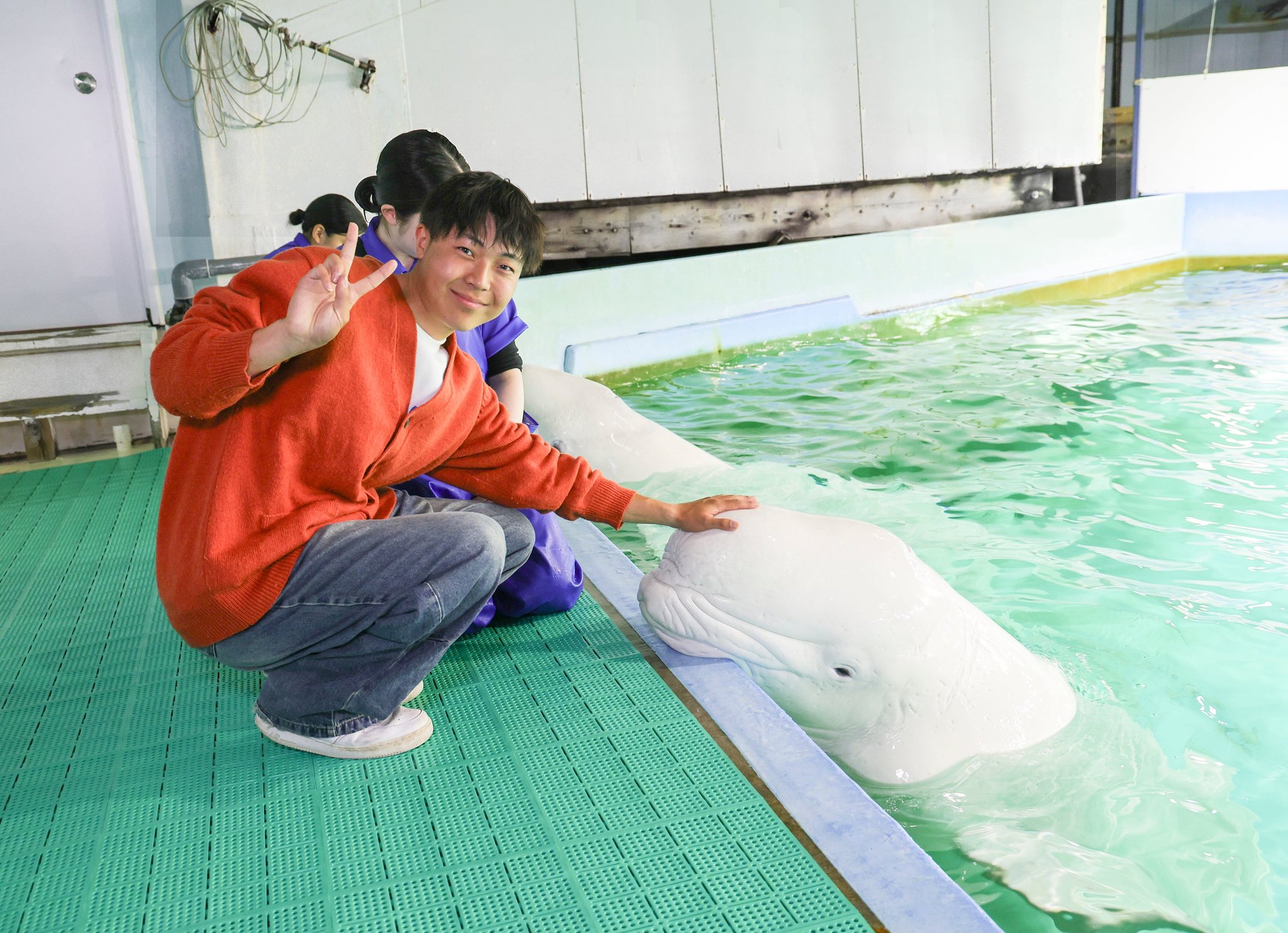 ベルーガのおでこ（メロン）にタッチする参加者