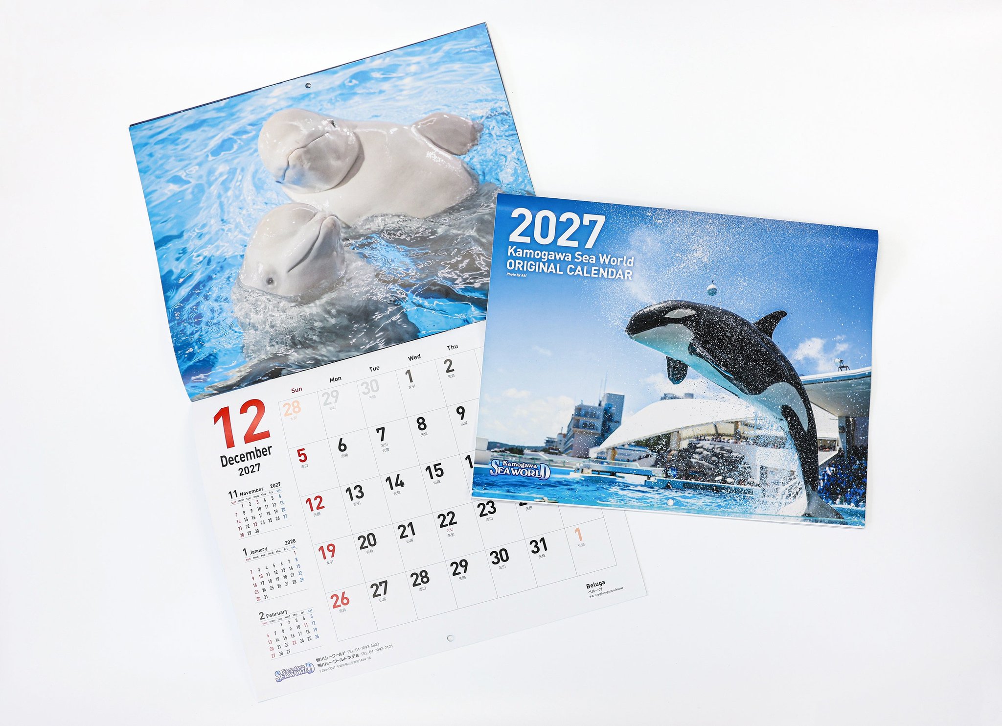 鴨川シーワールド「2027オリジナルカレンダー」