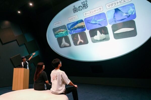 生きものトークライブの様子(歯の形をテーマにした解説)