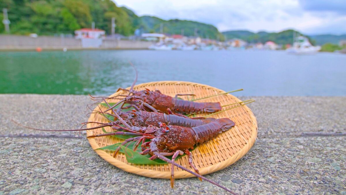 南伊豆町伊勢海老まつり（提供：南伊豆町観光協会）