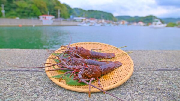 南伊豆町伊勢海老まつり(提供:南伊豆町観光協会)