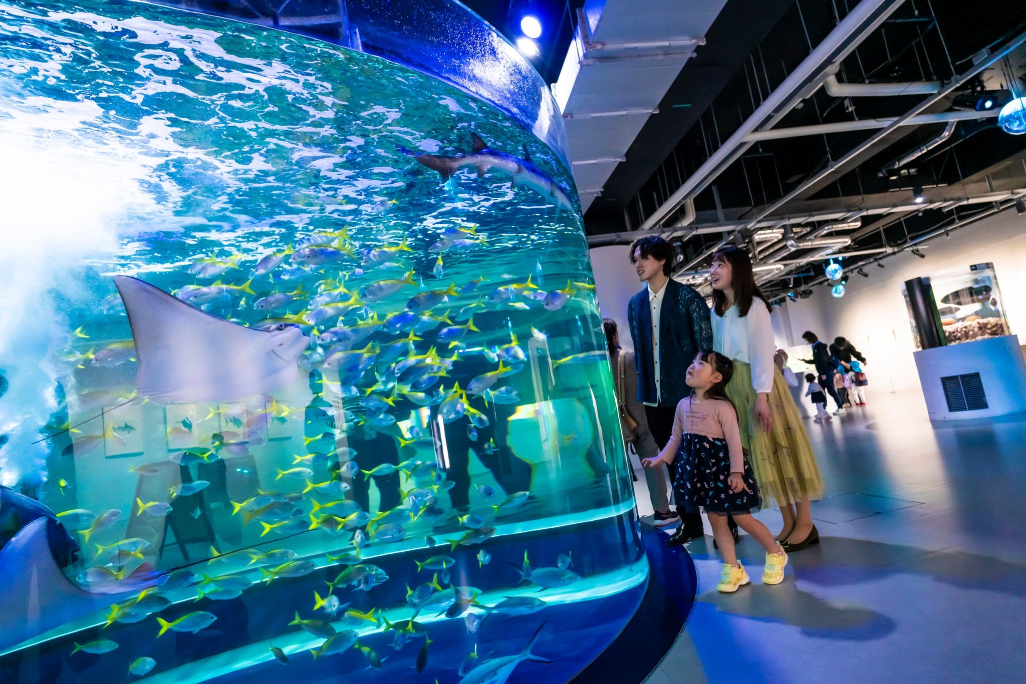 AQUARIUM×ART átoa 館内の様子