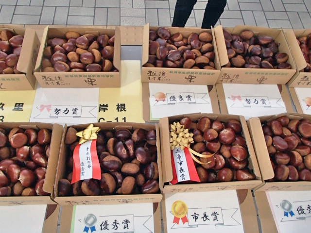 第51回 村松栗まつり