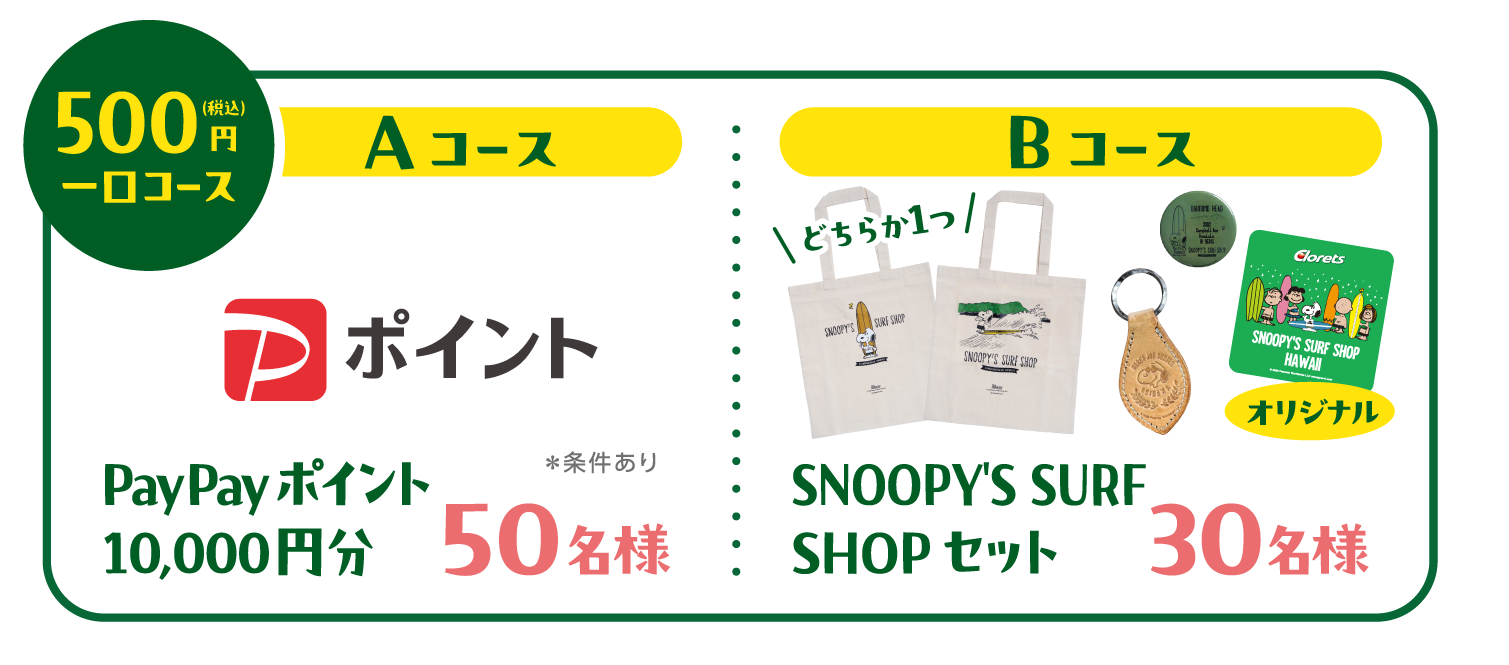 PayPayポイント10,000円分/SNOOPY'S SURF SHOPセット