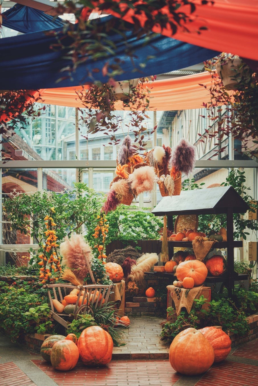 神戸布引ハーブ園／ロープウェイ「ハロウィンフェア2026」