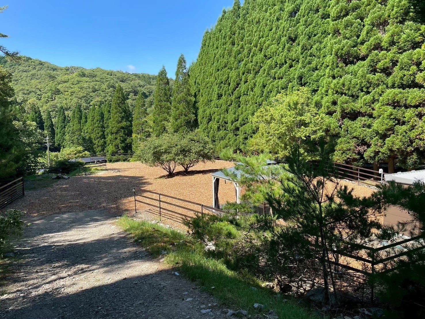 森に囲まれた互いの森PARKのキャンプ用地