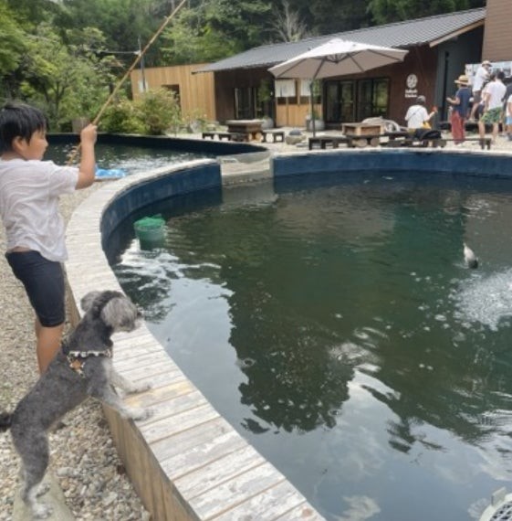 釣り堀で釣りを楽しむ子どもとそれを見守るミニチュアシュナウザー