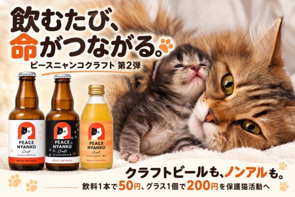 ピースニャンコクラフト第2弾の告知
