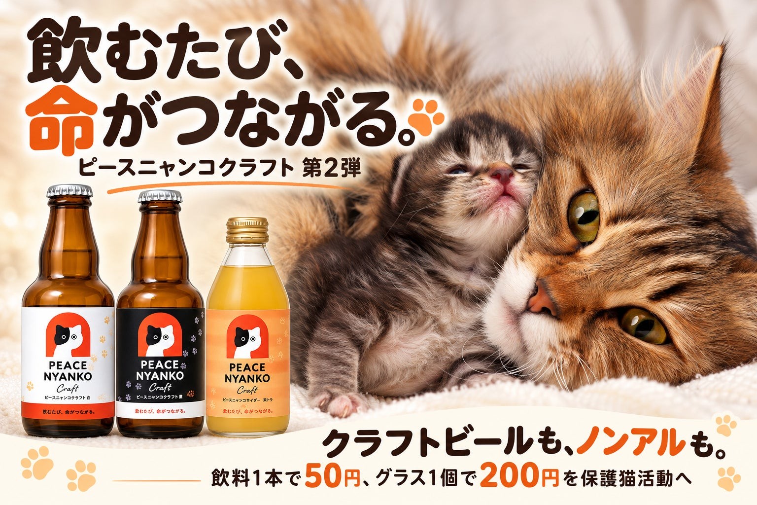 ピースニャンコクラフト第2弾の告知