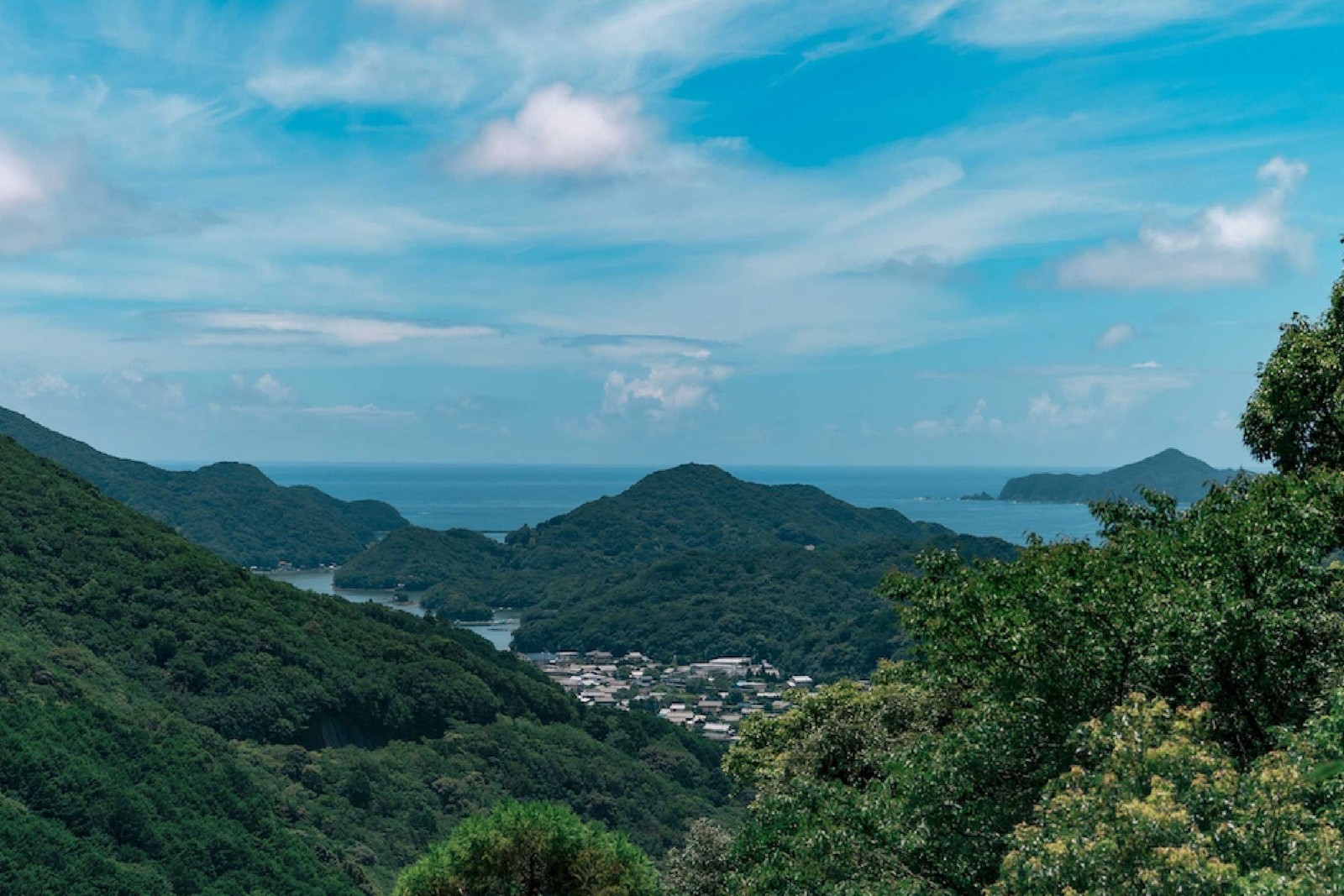 南伊勢町の入り組んだリアス海岸を見渡す風景