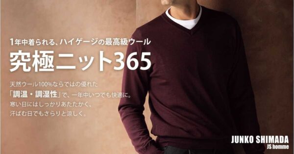 究極ニット365のVネックセーターの着用例