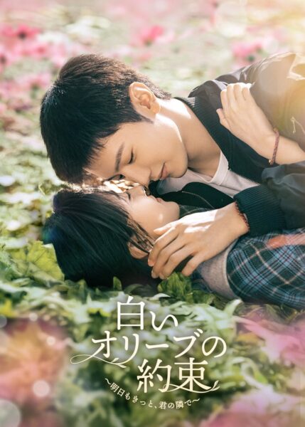 「白いオリーブの約束～明日もきっと、君の隣で～」キービジュアル
