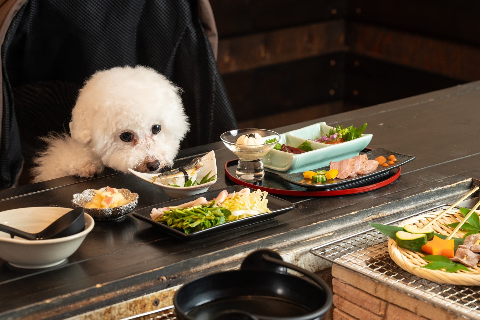 愛犬との食事イメージ