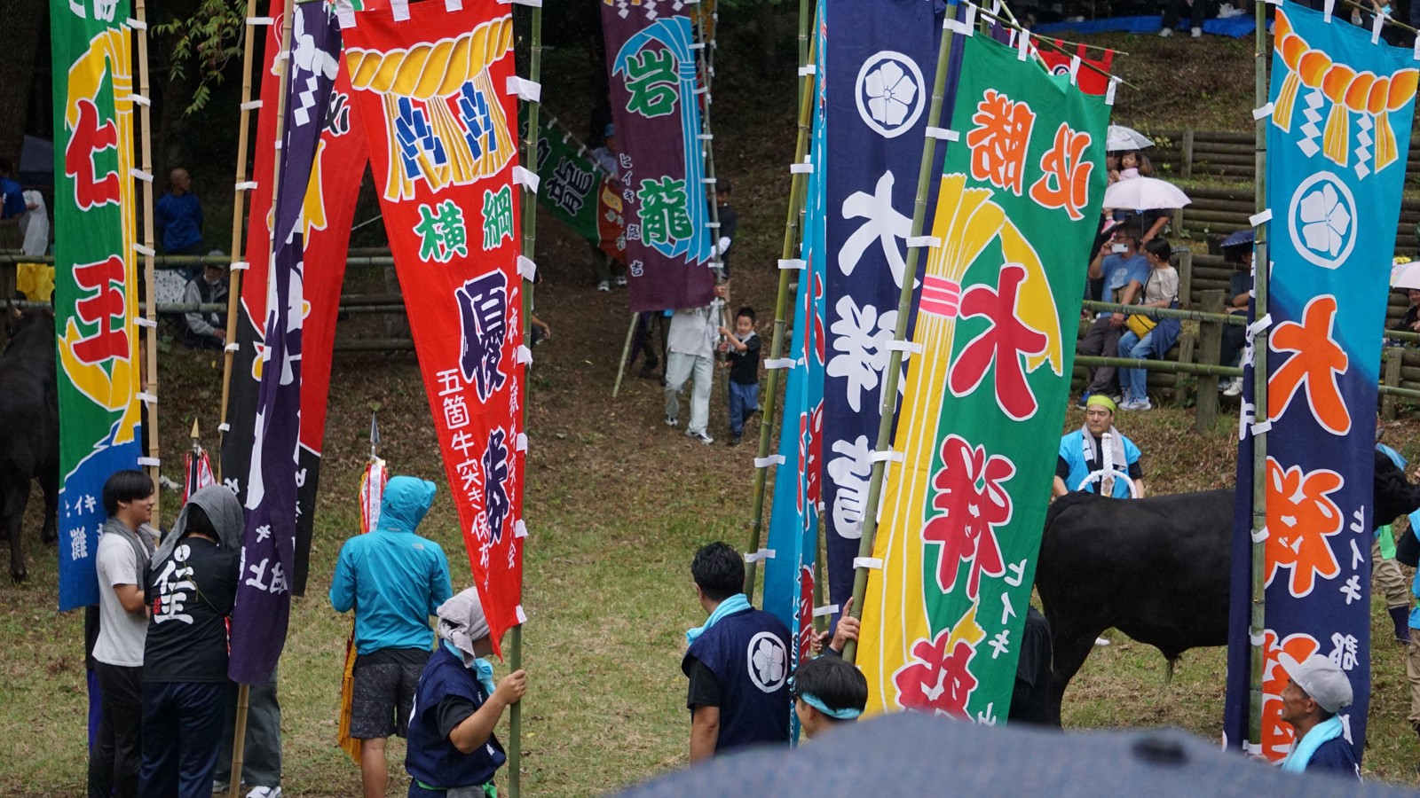 一夜嶽牛突き大会の様子
