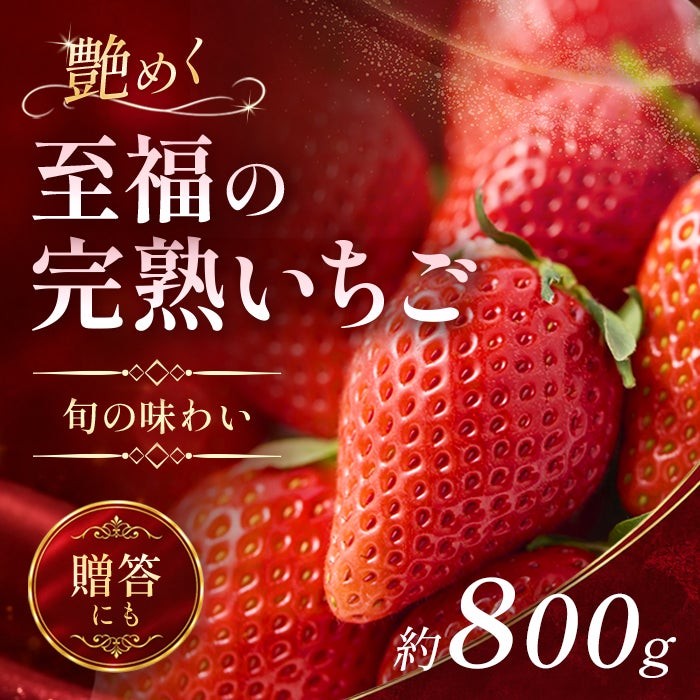 至福の完熟いちご 約800g