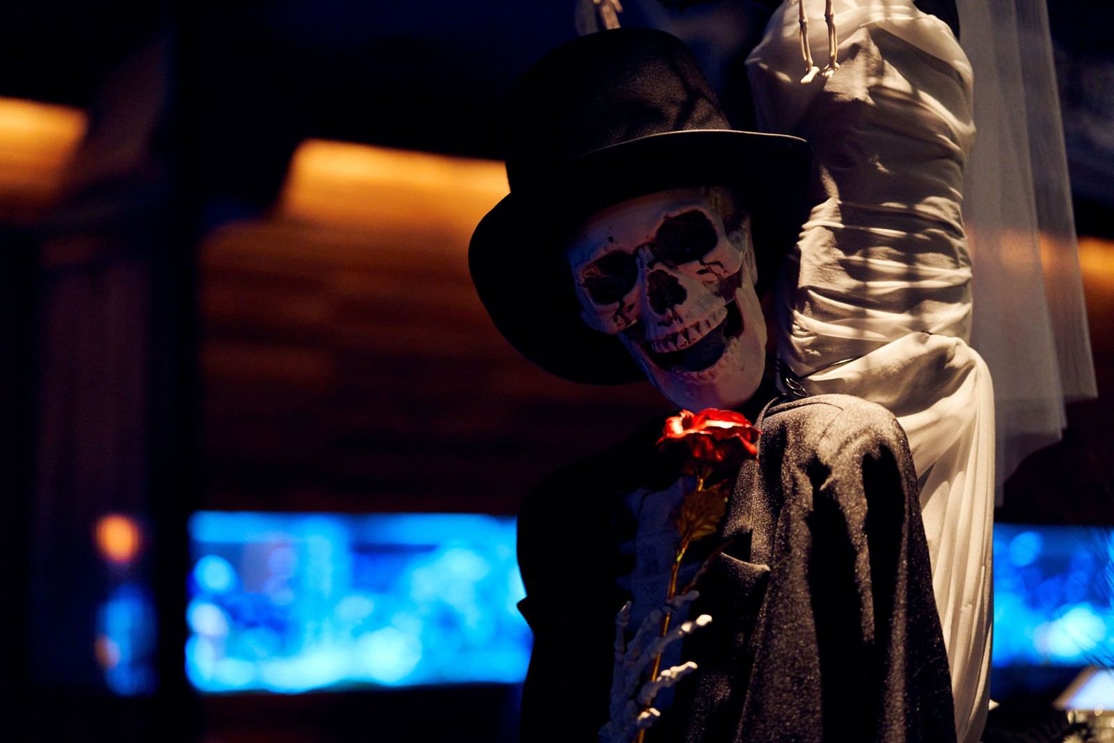 アクアリウムダイニング新宿ライム BLACK ROSE HALLOWEEN Afternoon Tea ～魔法にかかる、漆黒のティーパーティー～