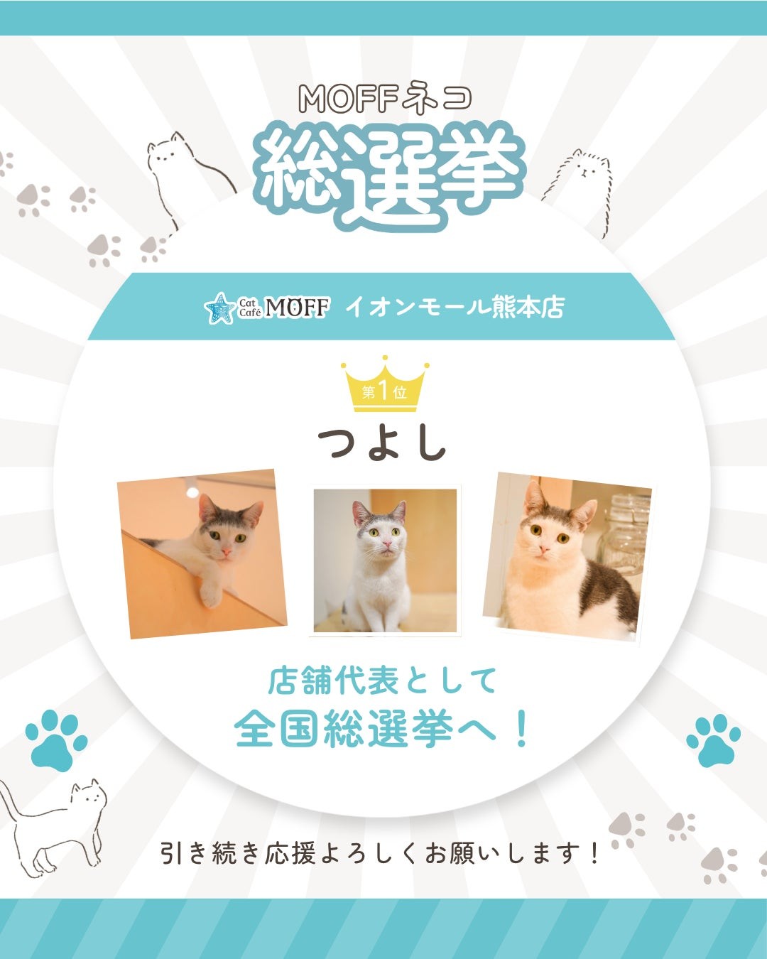 『第5回 MOFFネコ総選挙』本選 ~ MOFFネコNo.1決定戦 ~