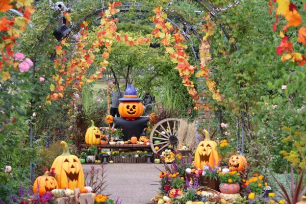 秋バラとハロウィン・ハーベストの昨年度開催風景