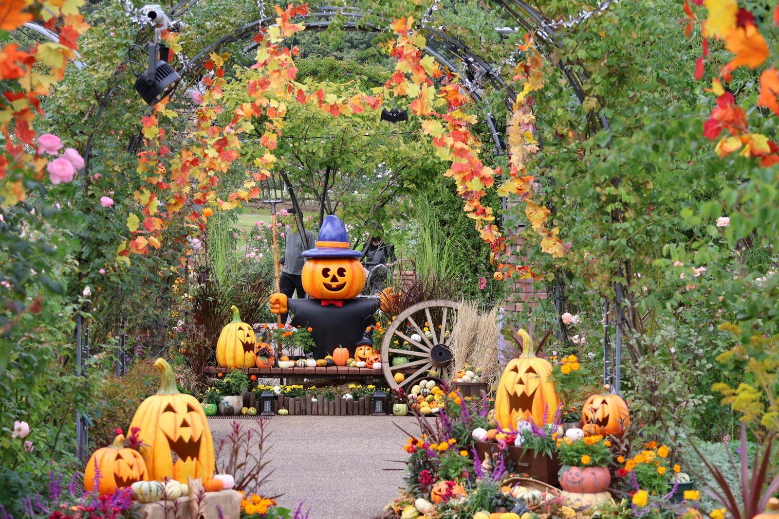 秋バラとハロウィン・ハーベストの昨年度開催風景