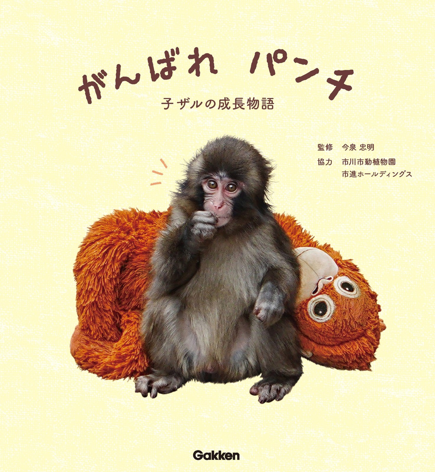 『がんばれ パンチ 子ザルの成長物語』の表紙