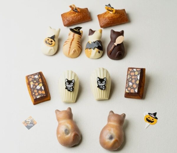 秋限定&ハロウィンコレクションの集合イメージ