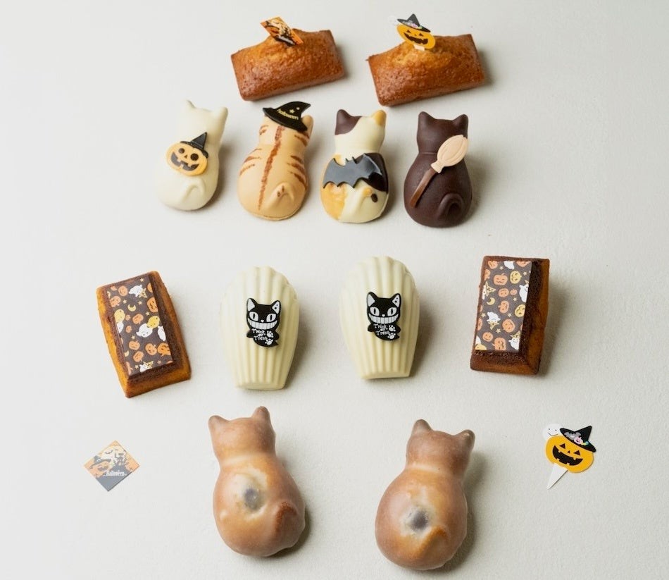 秋限定&ハロウィンコレクションの集合イメージ