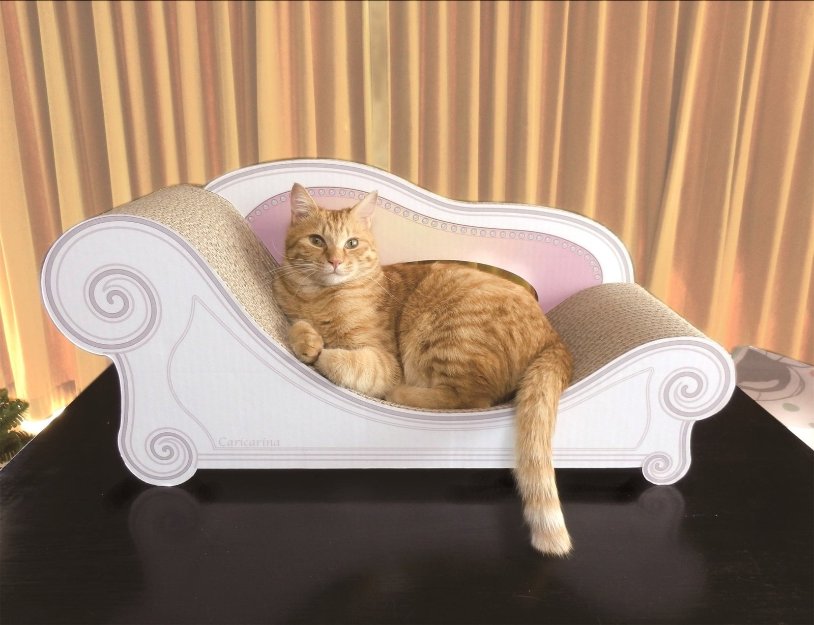 猫の爪とぎ「カリカリーナ」でくつろぐ猫
