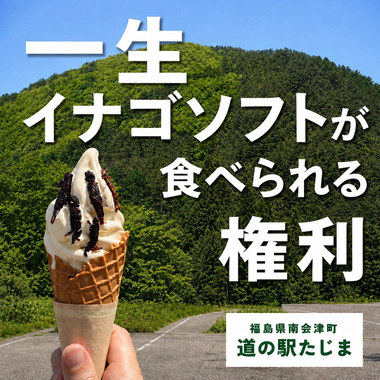 会津西街道 道の駅たじま「”一生”イナゴソフトが食べられる権利」