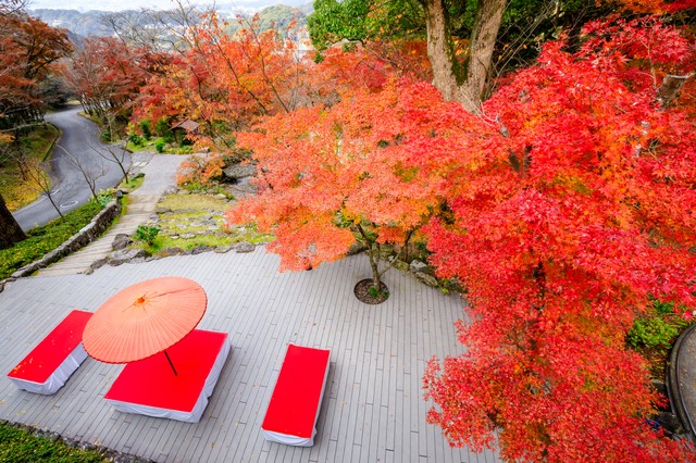 宝満宮竈門神社で紅葉のトンネルを歩く