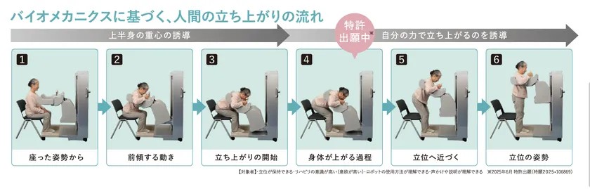 バイオメカニクスに基づく人間の立ち上がりの流れ
