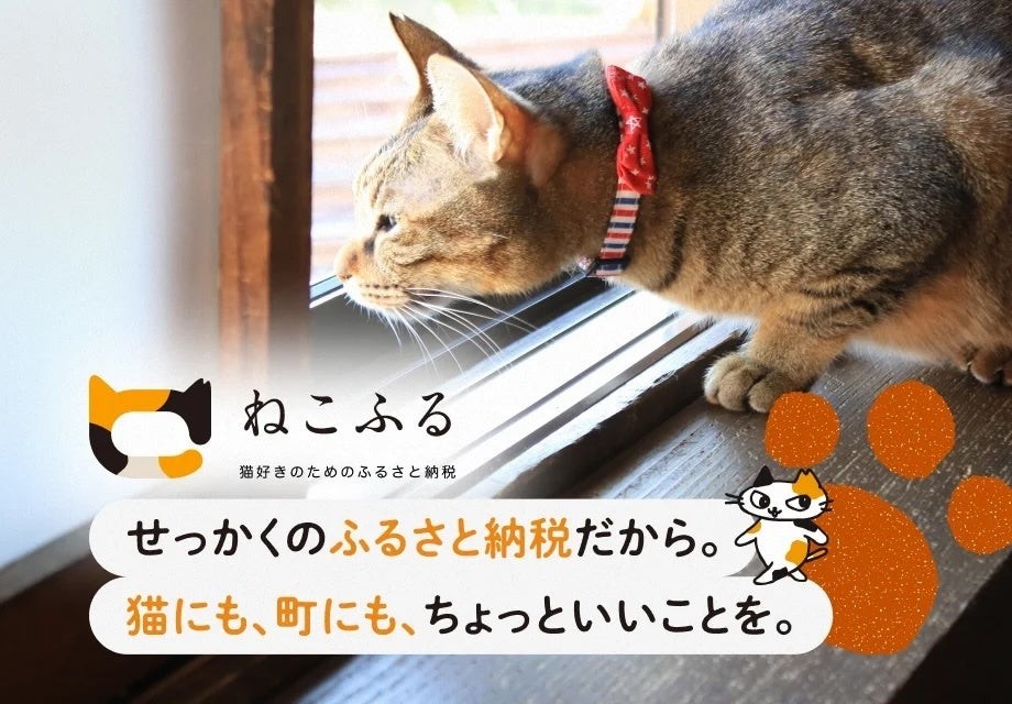 「ねこふる」のロゴと、窓の外を見つめる猫の写真