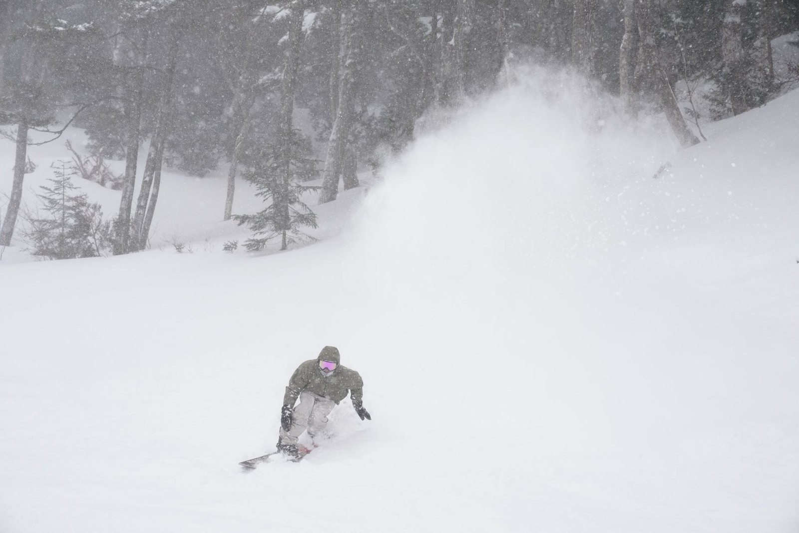 OFF THE PISTE／ZONE FWT