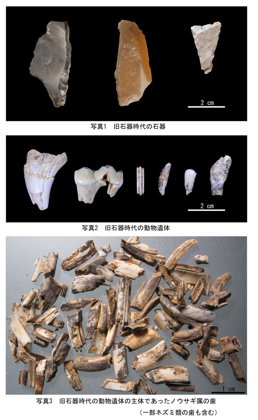 青森県尻労安部洞窟出土の石器・動物骨(尻労安部洞窟発掘調査団蔵)