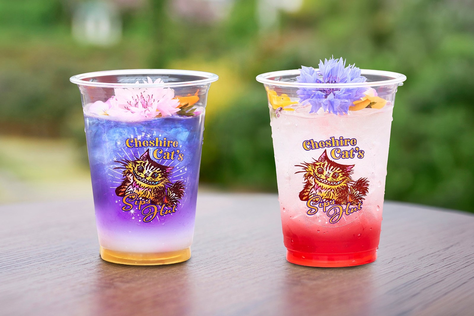 チェシャーキャットのシップス ハットのノンアルコールカクテル