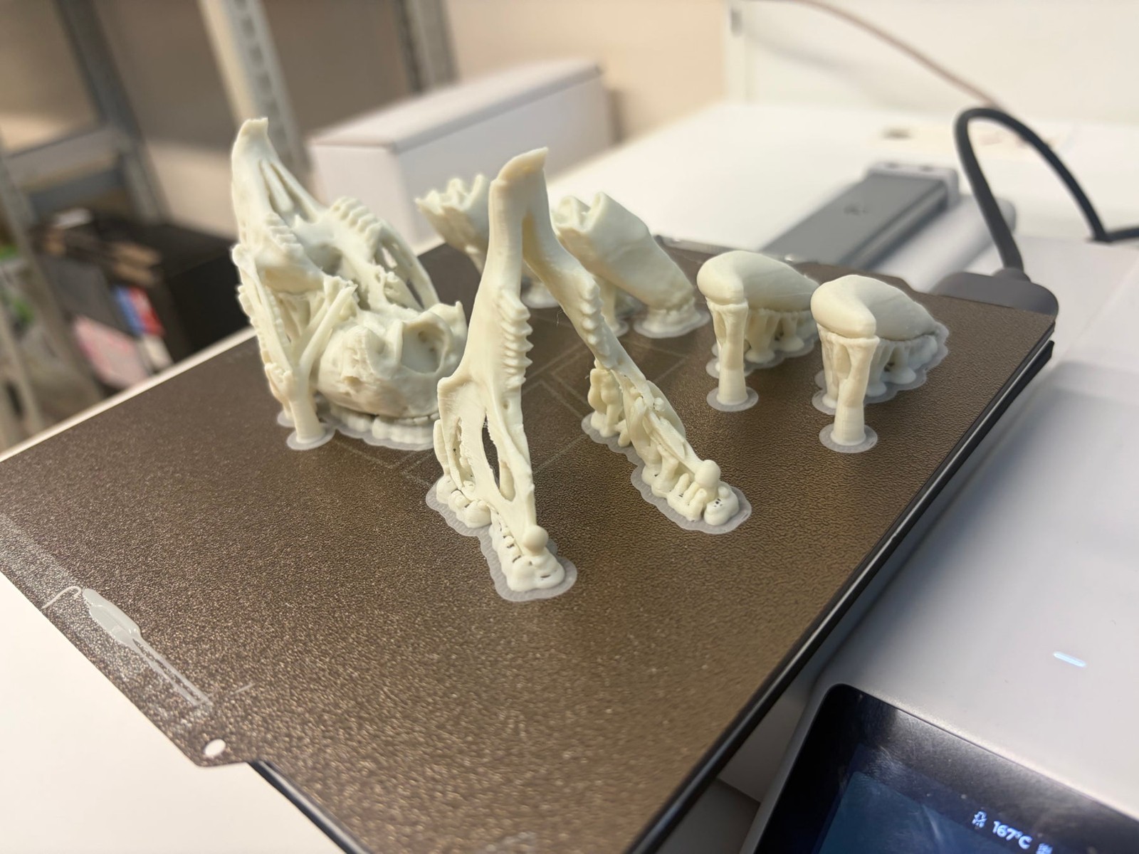 高精度3D模型の作成風景(東京科学大学)