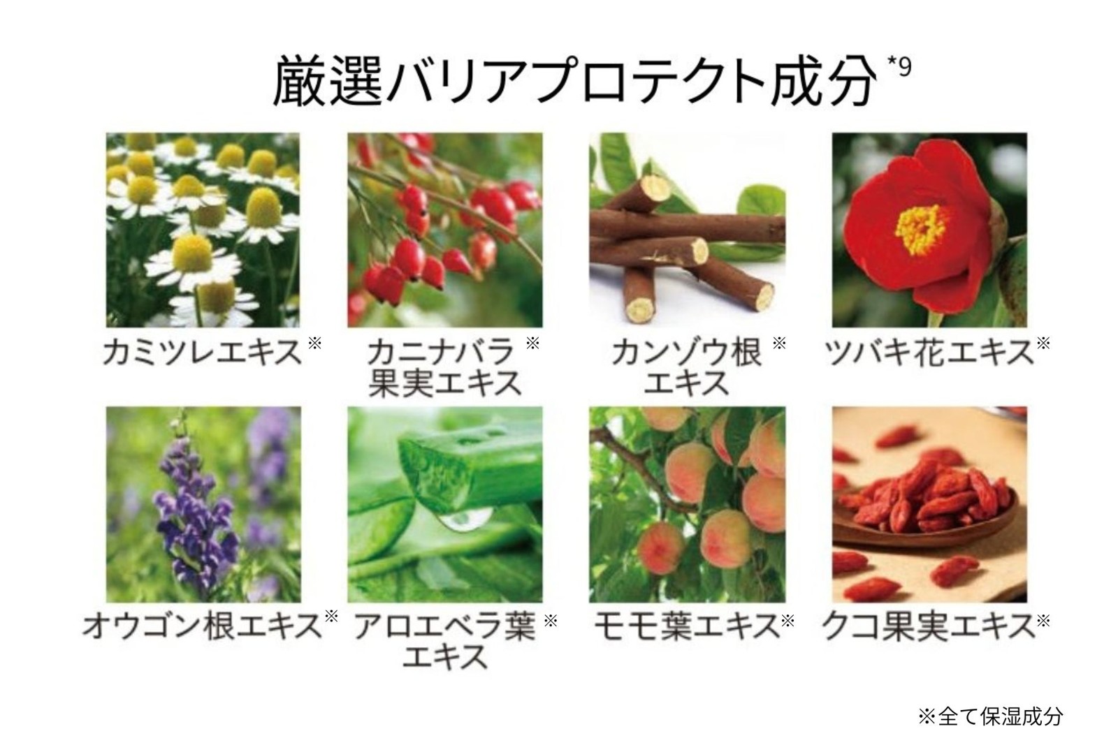CHOOSY（チューシー）デイニードルリップ クロミ 限定デザイン