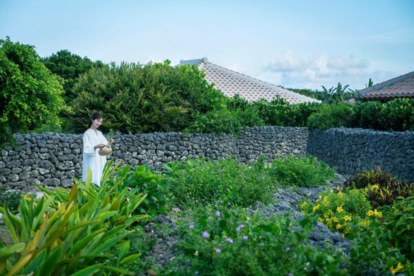 星のや竹富島の畑で命草を摘む女性