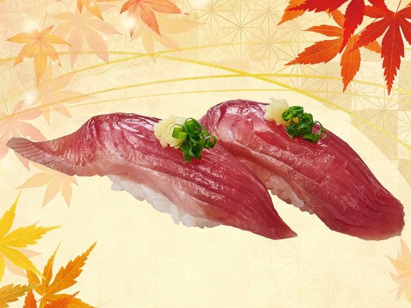 とろ鰹