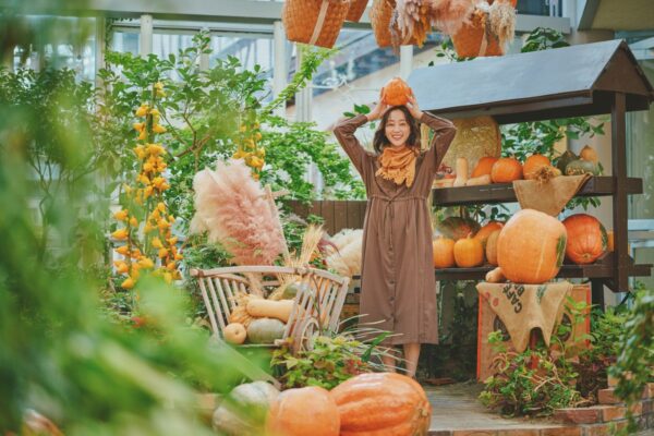 神戸布引ハーブ園／ロープウェイ「ハロウィンフェア2026」