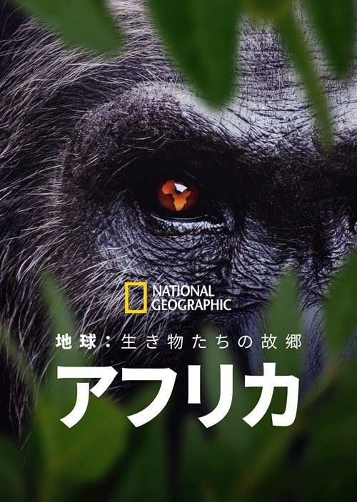 地球：生き物たちの故郷～アフリカ