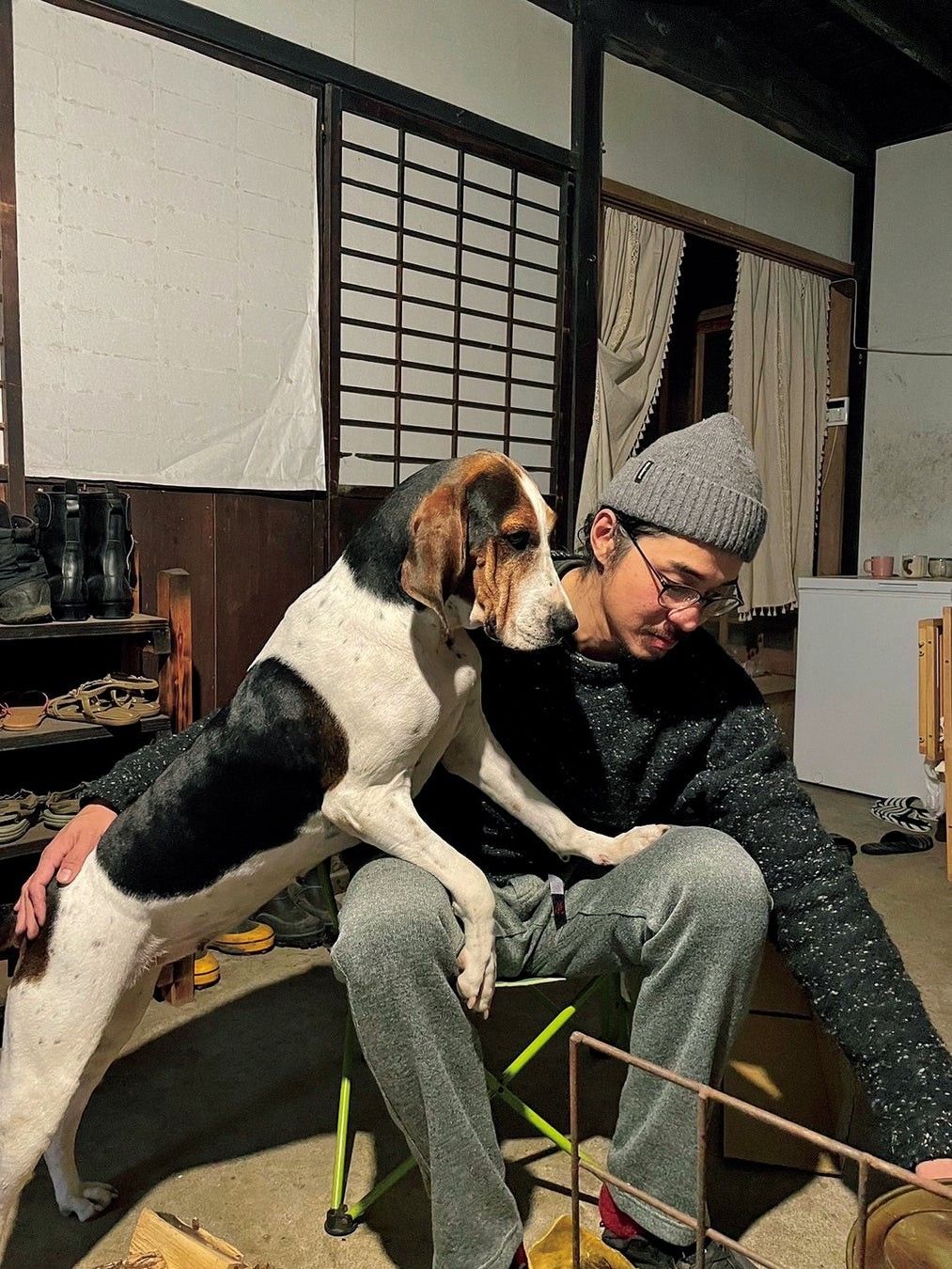 提供画像